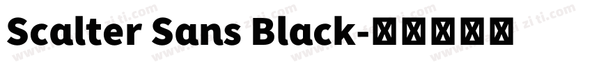 Scalter Sans Black字体转换